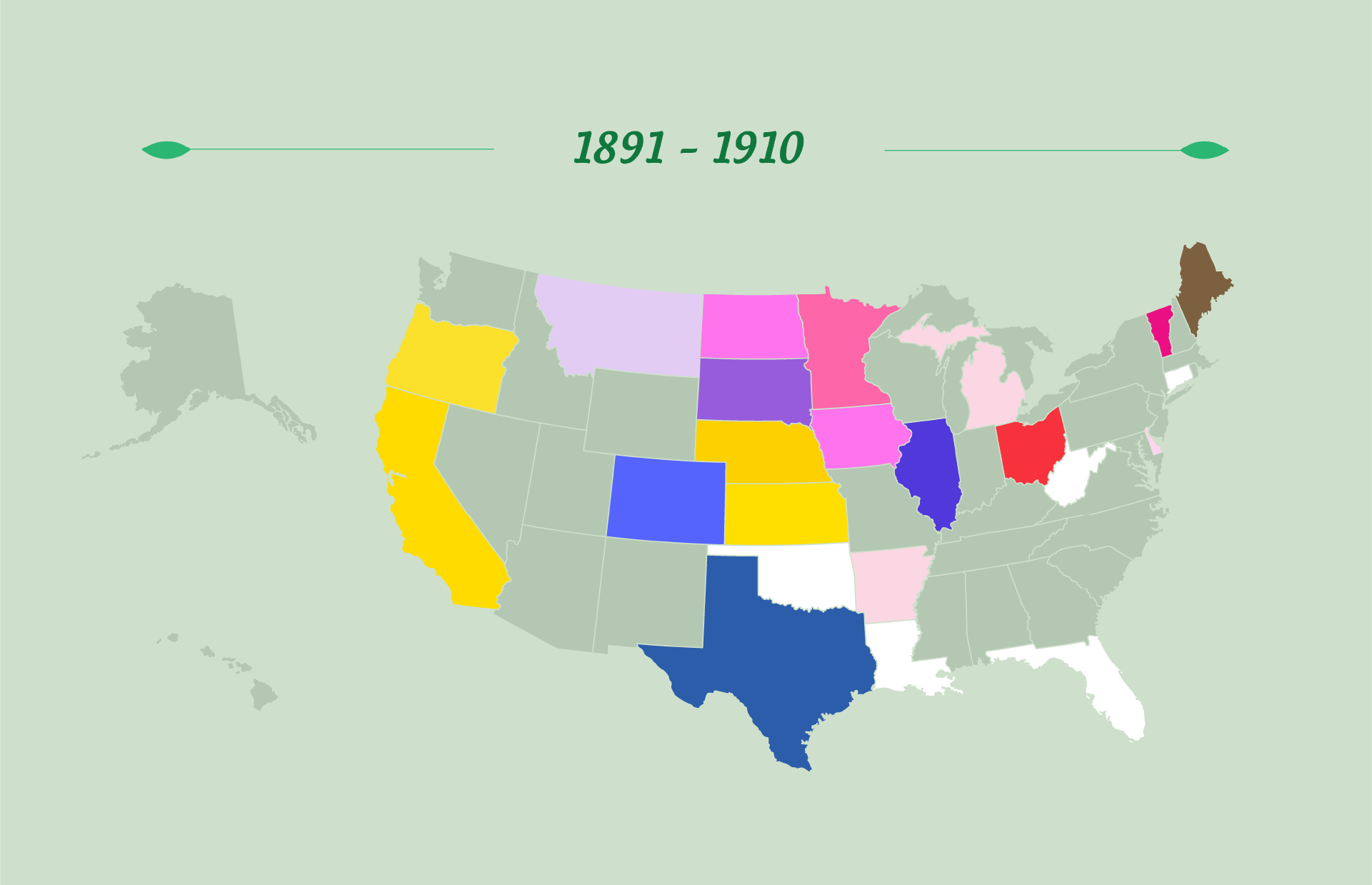 50 U.S. State Flowers infographic snippet showing 1891 to 1910 timeline